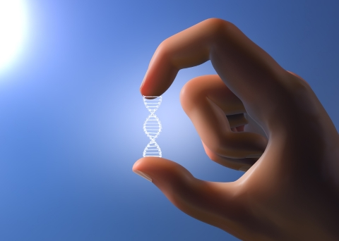 FIT Genomics 1